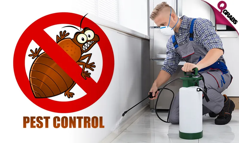 Pest Control: Cockroach & Bedbug Treatment Services!